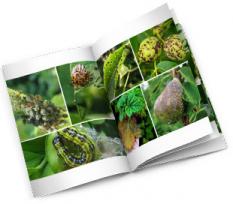 Katalog bolezni in škodljivcev